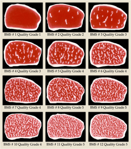 Beef Marbling Standard Quality Grades